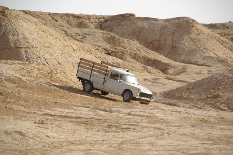 Excursion dans les dunes