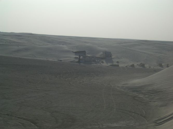 Excursion dans les dunes
