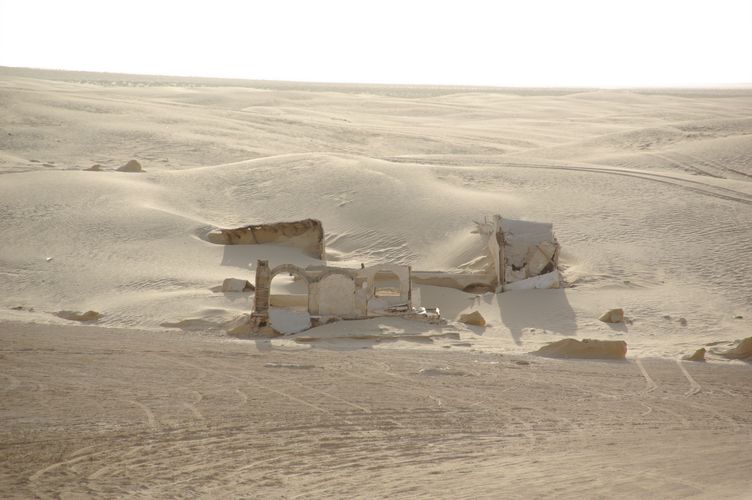 Excursion dans les dunes