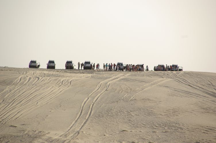 Excursion dans les dunes