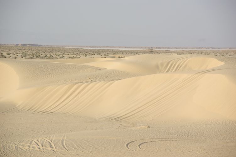 Excursion dans les dunes