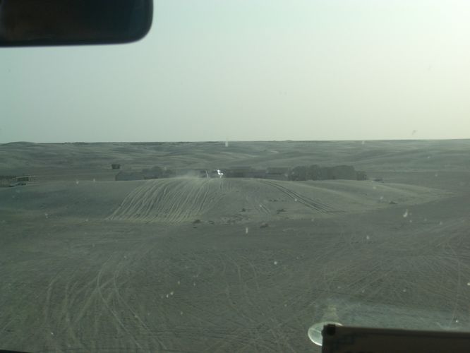 Excursion dans les dunes