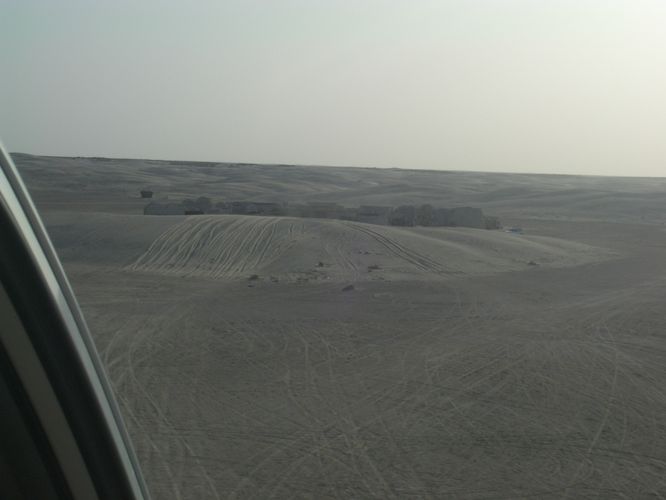 Excursion dans les dunes