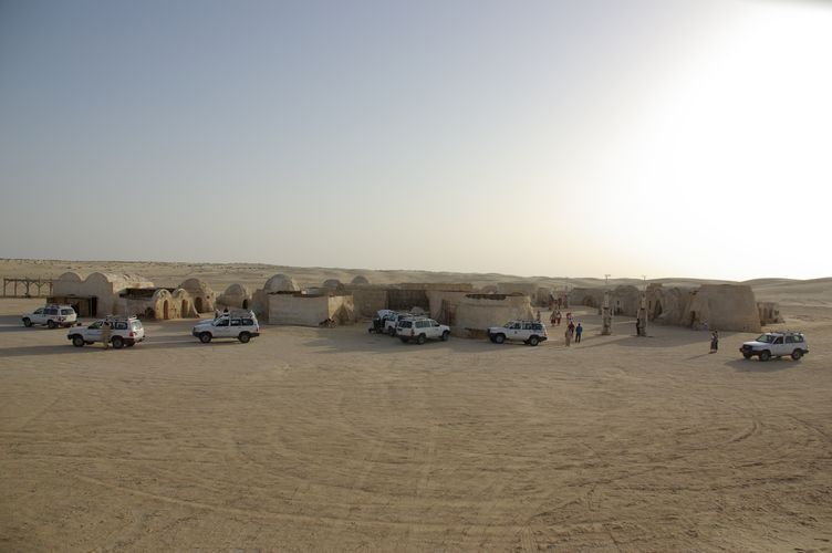 Excursion dans les dunes