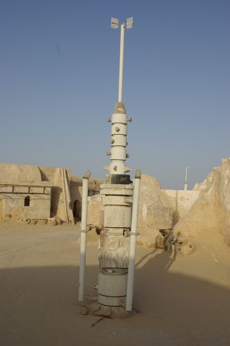 Excursion dans les dunes