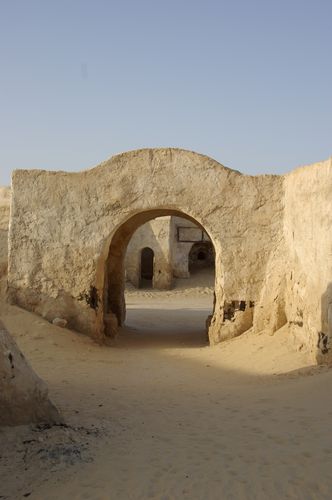 Excursion dans les dunes
