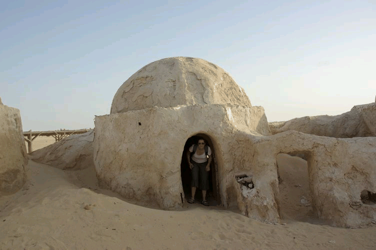 Excursion dans les dunes