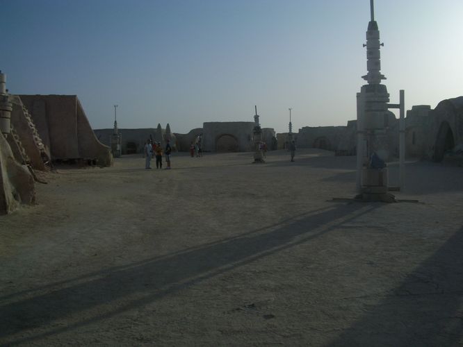Excursion dans les dunes
