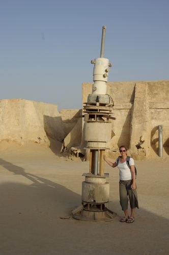 Excursion dans les dunes