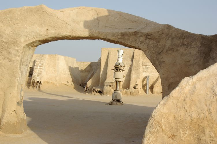 Excursion dans les dunes