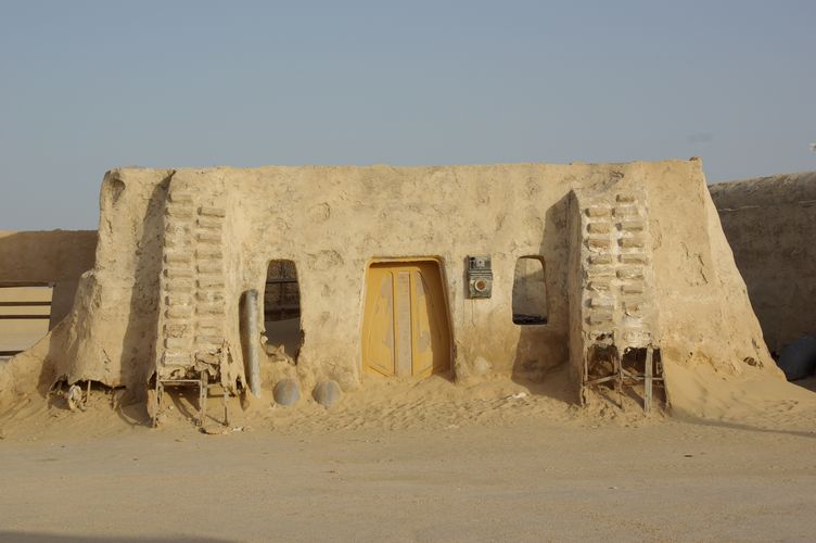 Excursion dans les dunes