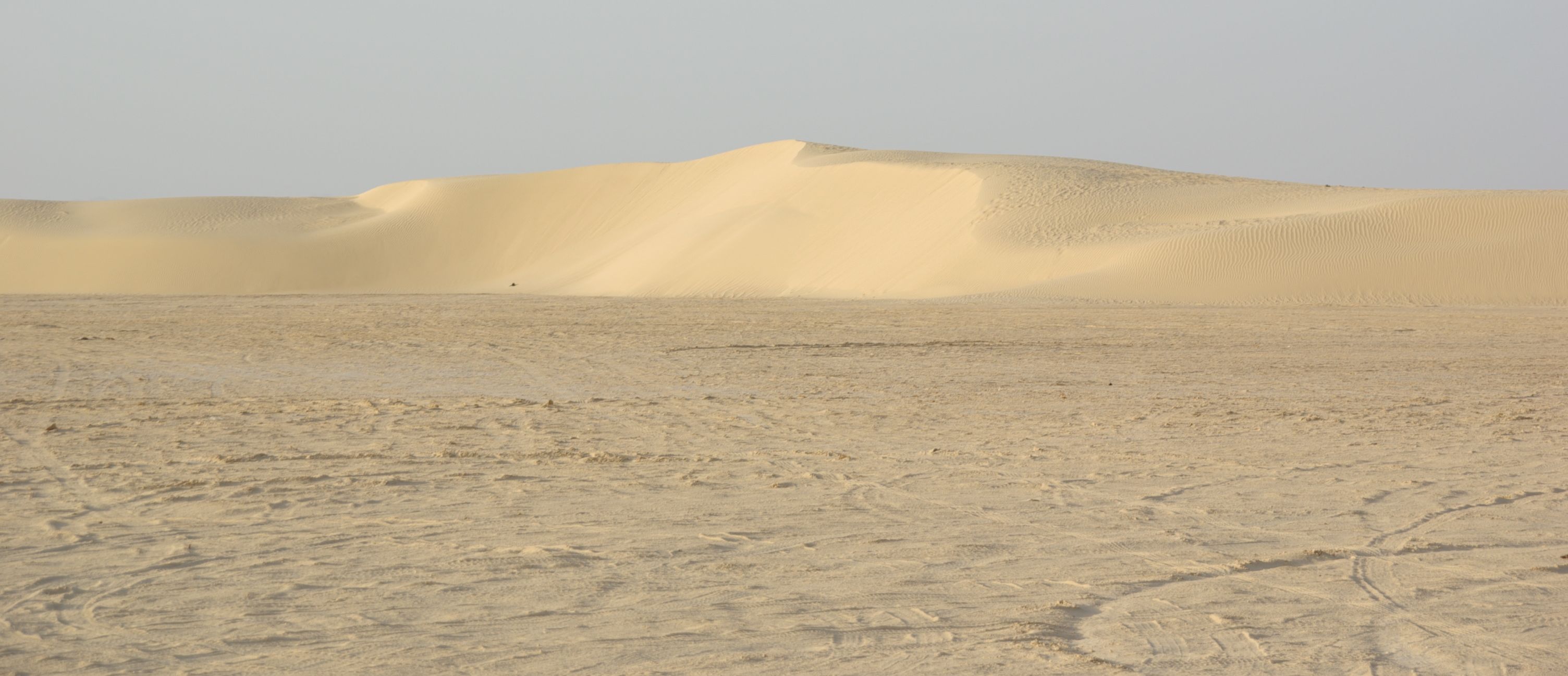Excursion dans les dunes