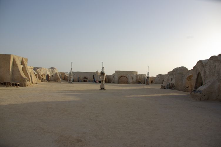 Excursion dans les dunes