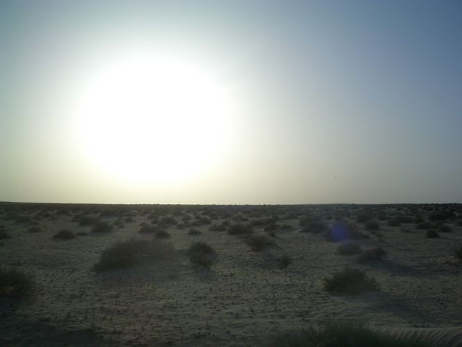 Excursion dans les dunes