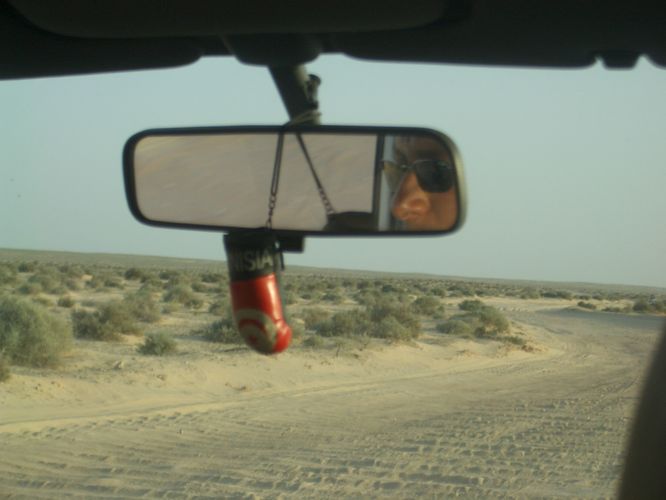 Excursion dans les dunes