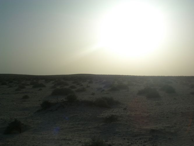 Excursion dans les dunes