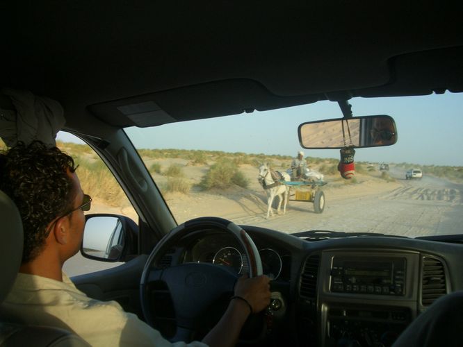 Excursion dans les dunes