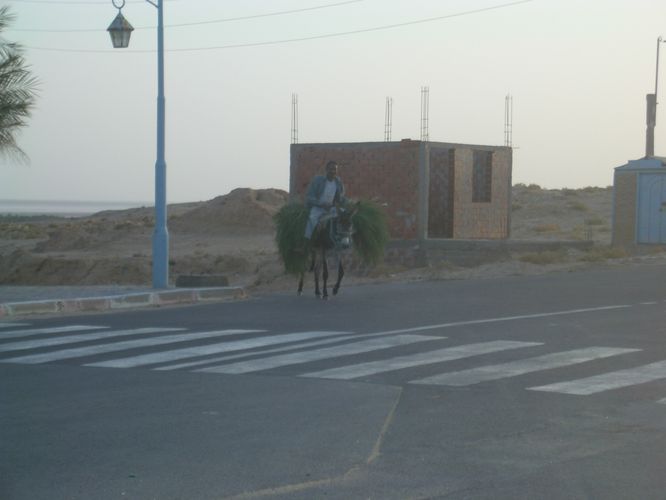 Excursion dans les dunes