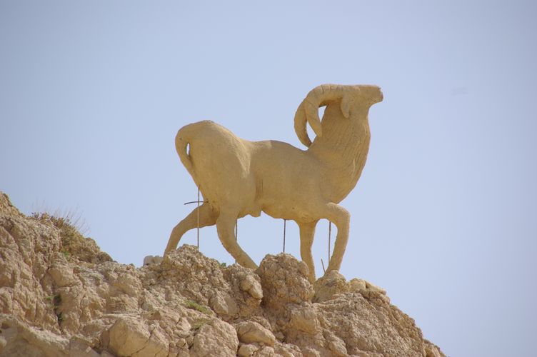 Chebika