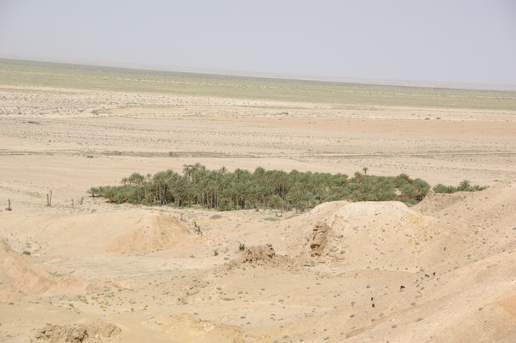Chebika