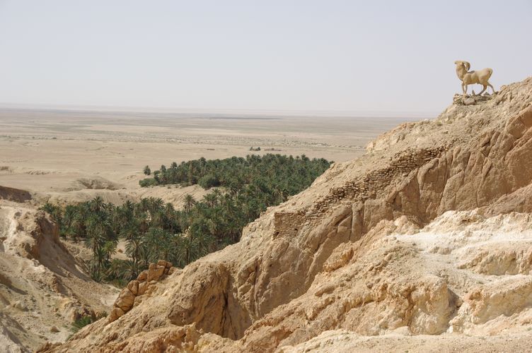 Chebika