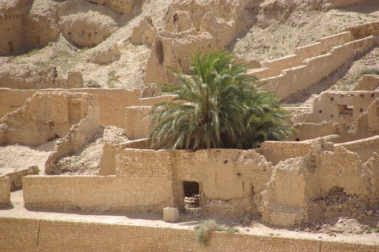 Tamerza