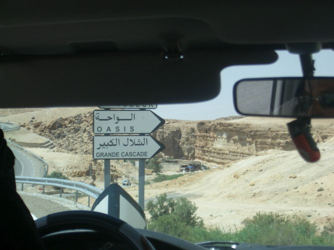 Tamerza