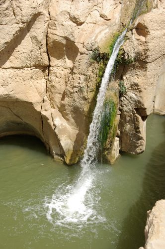 Tamerza