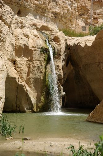 Tamerza