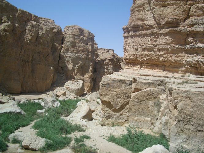 Tamerza