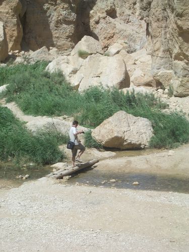 Tamerza