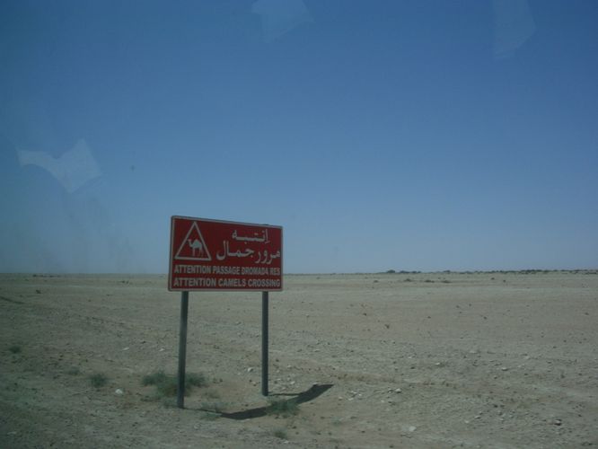 Tamerza