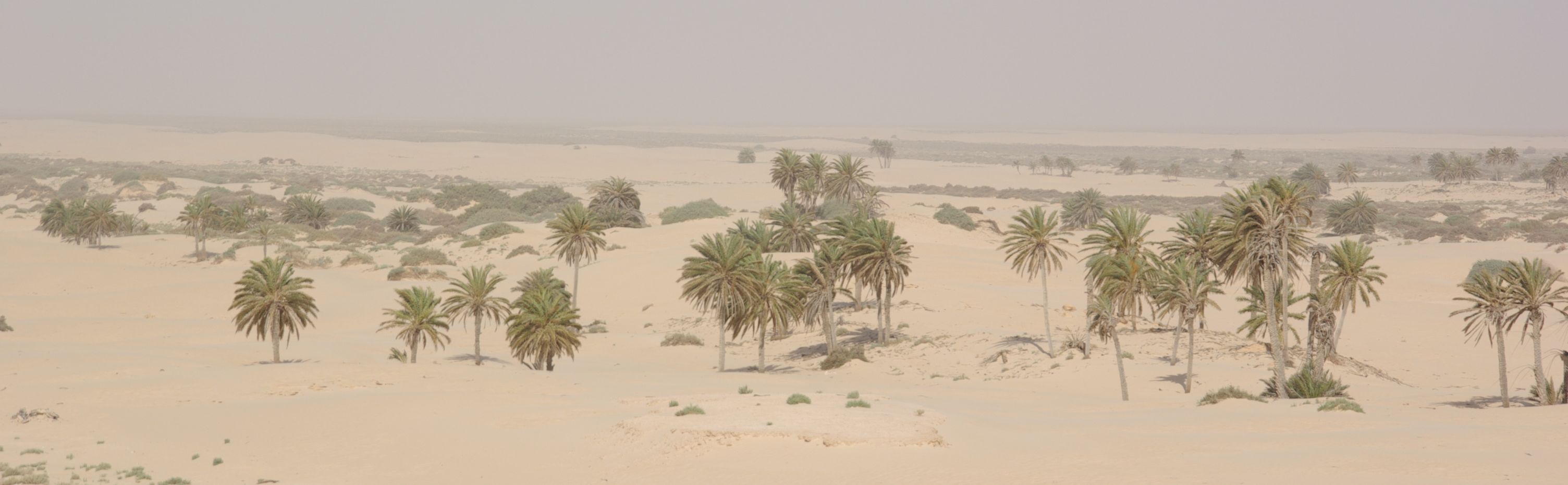 Souk Lahad