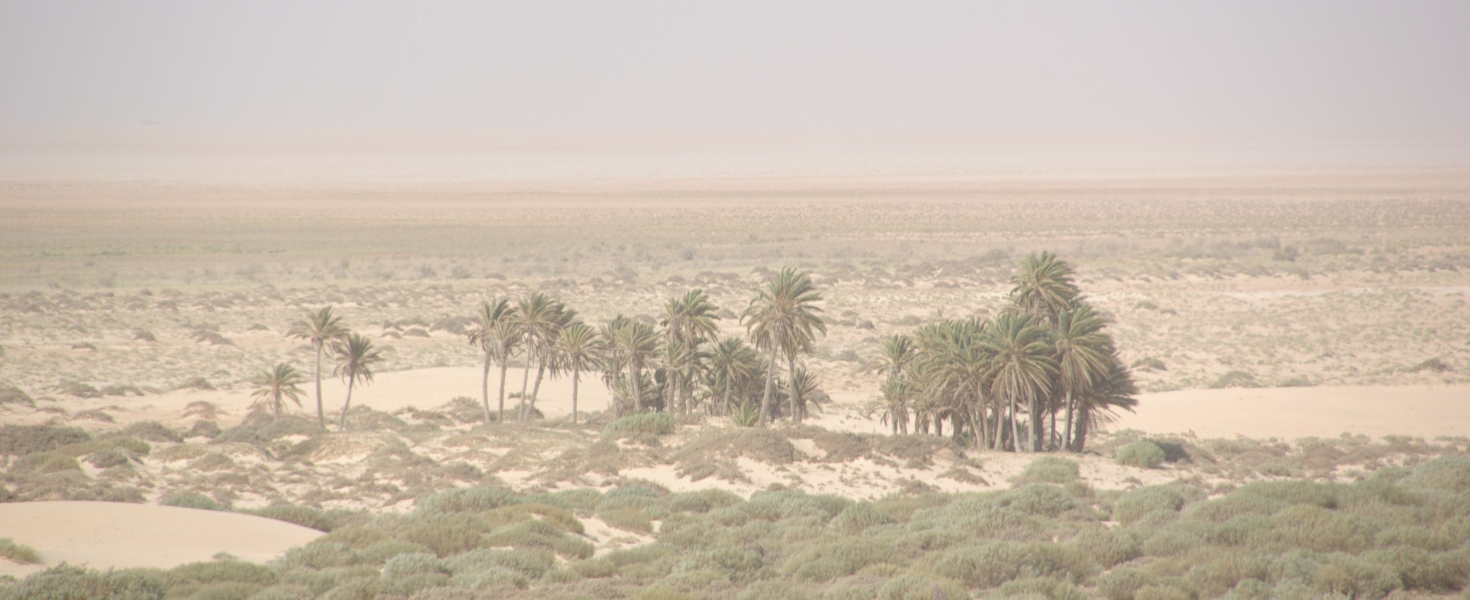 Souk Lahad