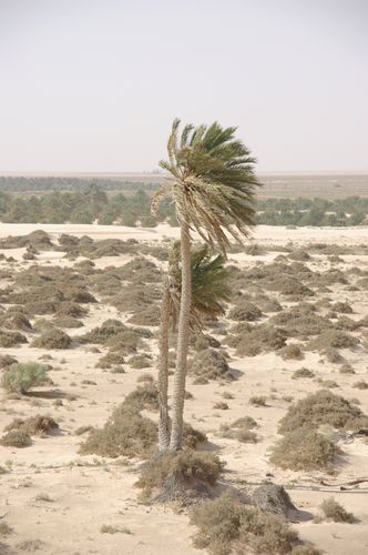 Souk Lahad