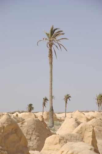 Souk Lahad