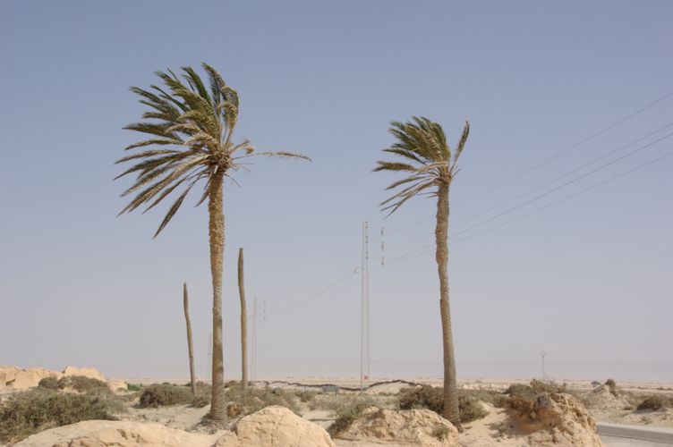 Souk Lahad