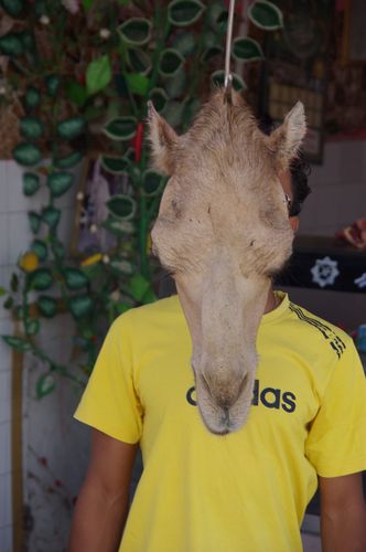 El Hamma