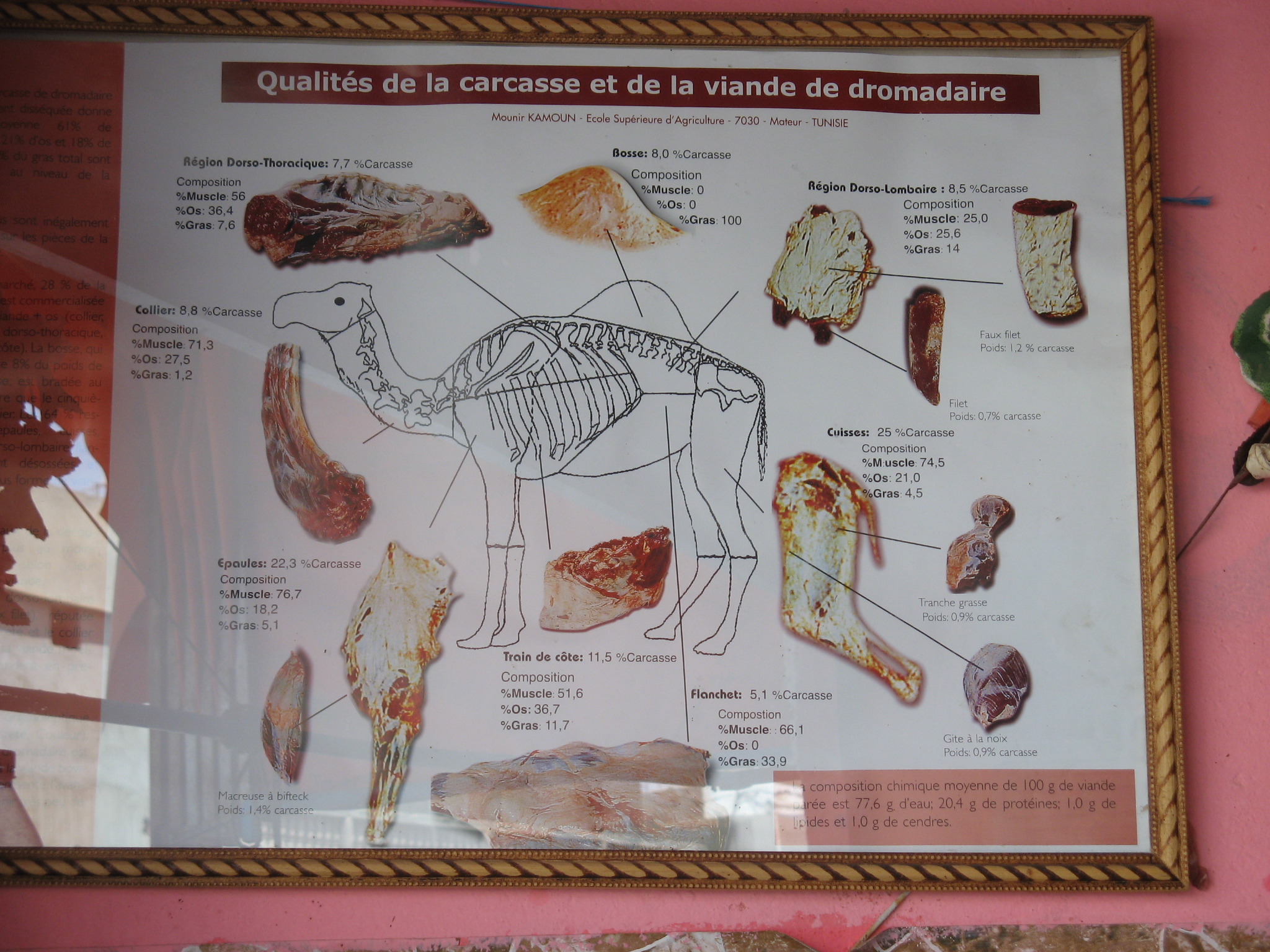 El Hamma
