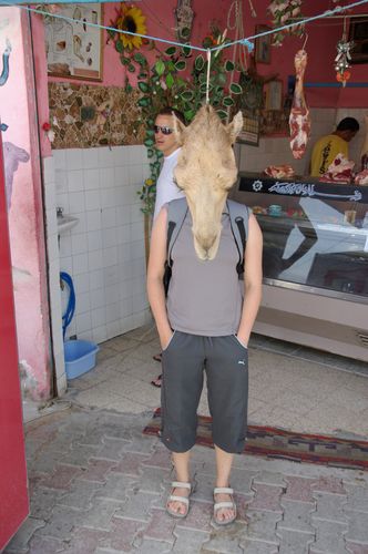 El Hamma