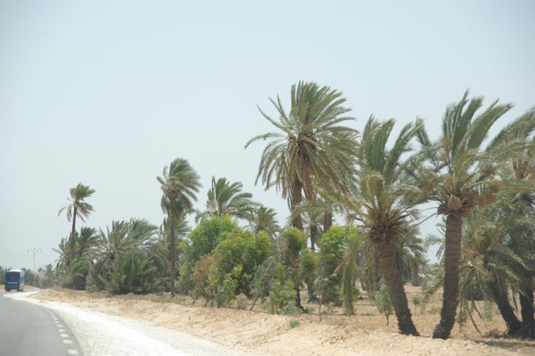 Djerba